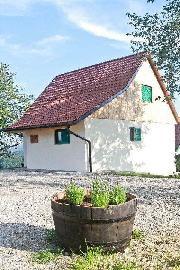 Vila Loni Zgornja Kungota Kültér fotó
